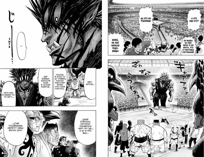 One-Punch Man. Книга 7 - Image 2