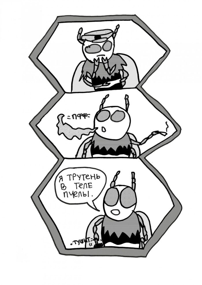 Соты - Image 2