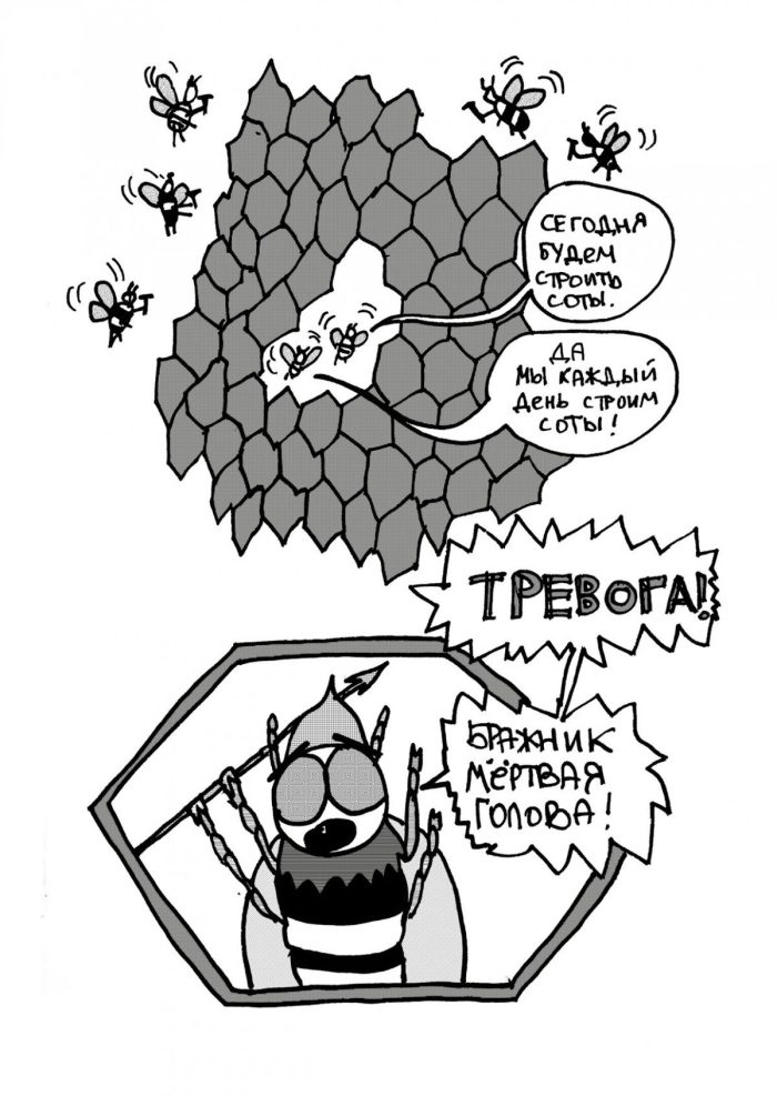 Соты - Image 3