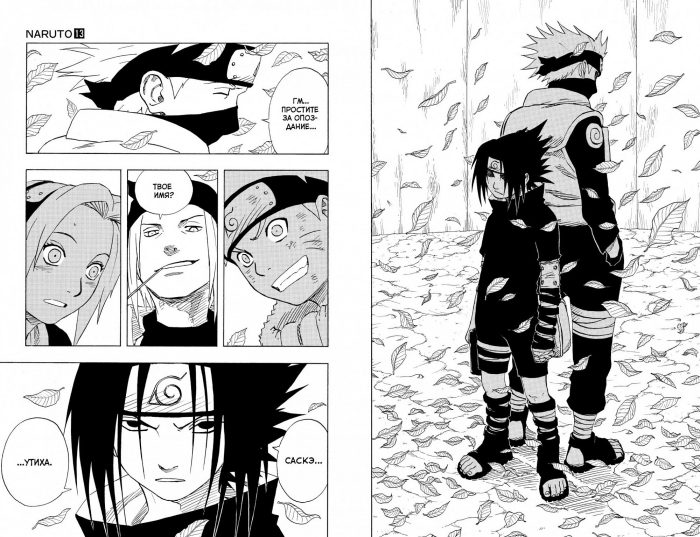 Naruto. Наруто. Книга 5. — изображение 3