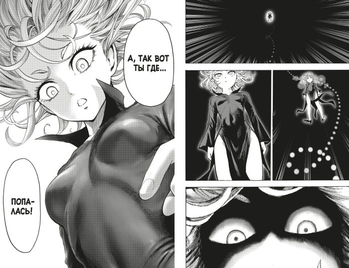 One-Punch Man. Книга 13 - Image 3