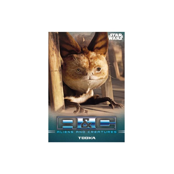 Star Wars: The Mandalorian Trading Cards Starter Pack *English Version* - Image 5